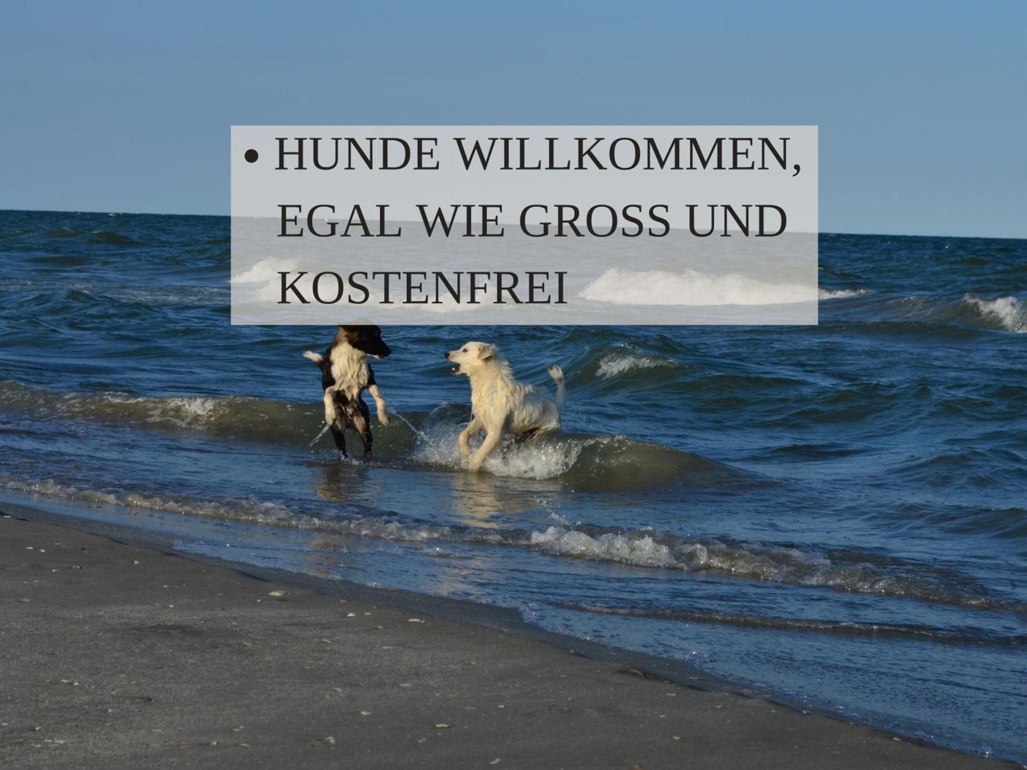 Haus Krabbe Apartments Mit Doppelbetten, Fuer 1-2 Personen, Hunde Kostenfrei Willkommen, Kostenfreier Parkplatz, Zwischen Bremerhaven Und Cuxhaven Gelegen Времен Екстер'єр фото